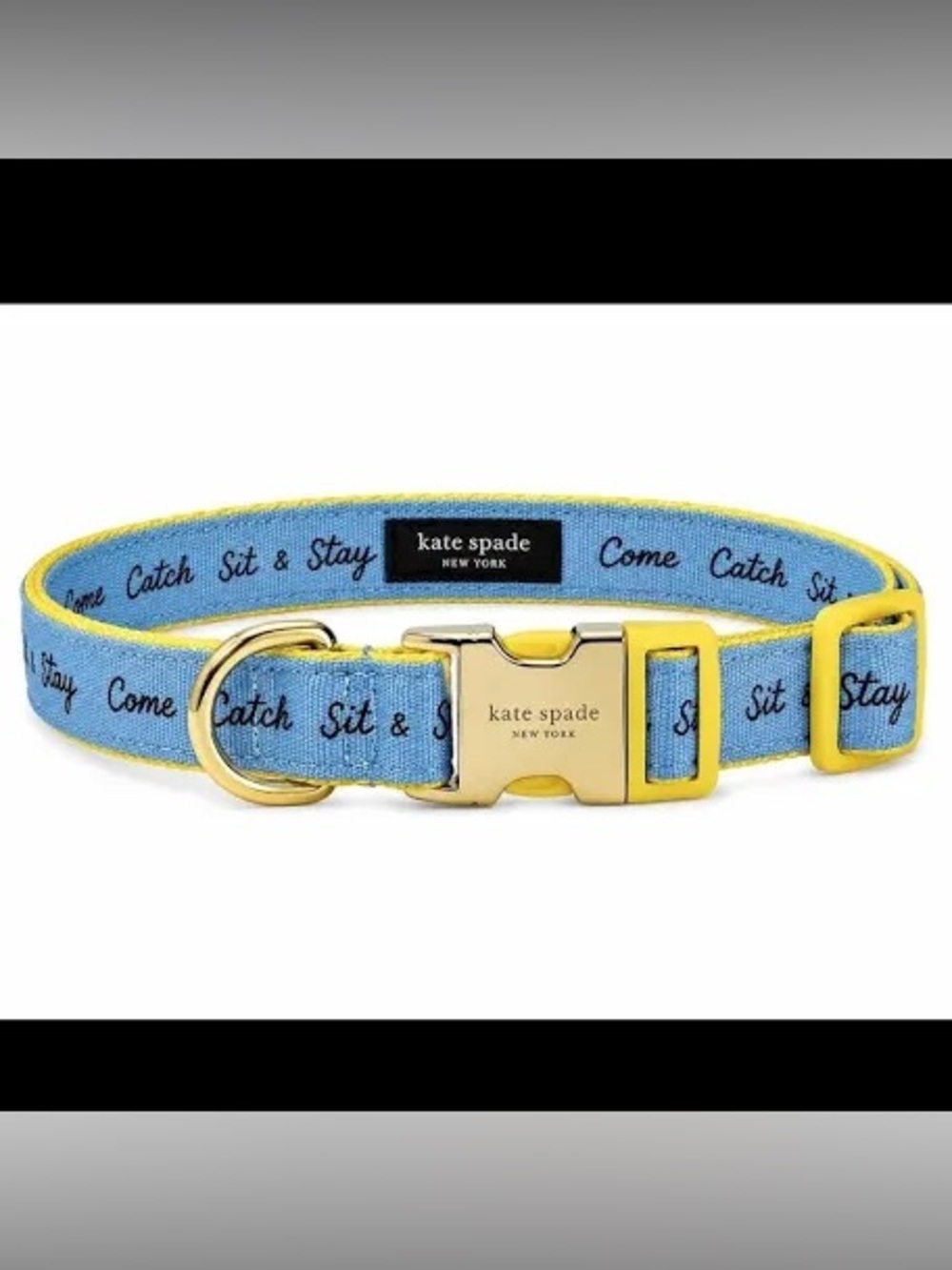 Kate Spade New York Raining Cats & Dogs Dog Collar M/L Adjustable NWT